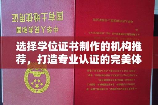 丹凤选择学位证书制作的机构推荐，打造专业认证的完美体验